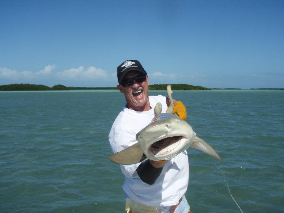 big shark from the Marquesas keys on fly